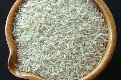 Рис посевной